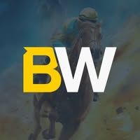 BetWright логотип