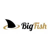 BigFish Partners логотип