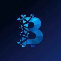 Blockchain Life 2025