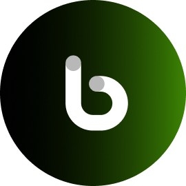 Botim Money logo