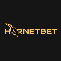 Hornetbet логотип