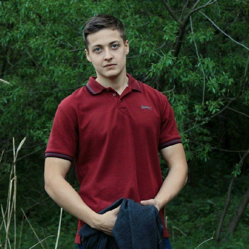 Denis Volgin логотип