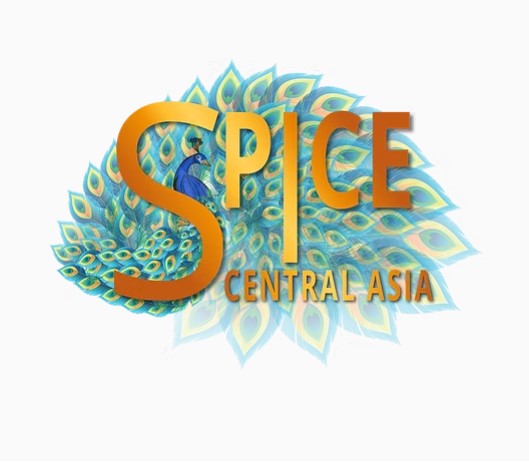 SPiCE Central Asia Awards 2025 логотип