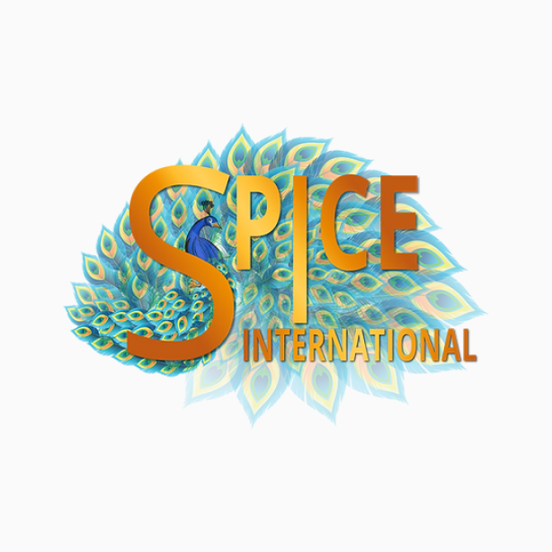 SPiCE International 2024