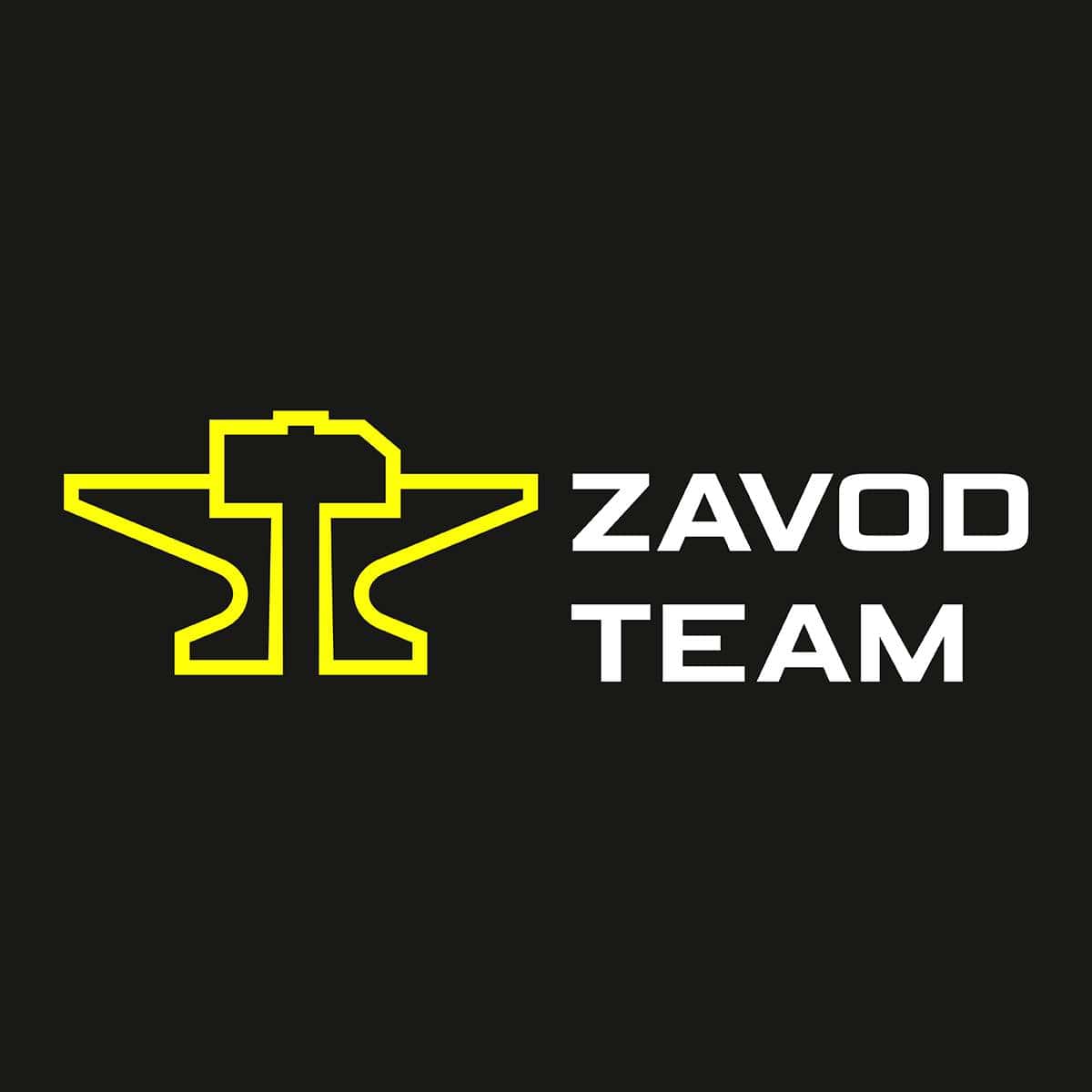 ZavodTeam logo